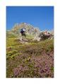 Wanderweg Sewenstock #22655