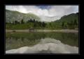 Elsigsee #15768
