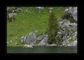 Seebergsee #15140