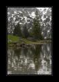 Seebergsee #15147