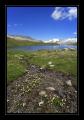 Triebtensee #8338