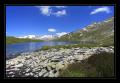 Triebtensee #8349