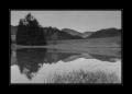 Lac des Joncs #14410