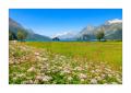 Silsersee #5ds00200