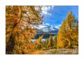 Herbst am Silsersee #33941 Herbst am Silsersee #33941