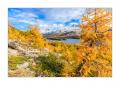 Herbst am Silserse #33994