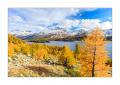 Herbst am Silsersee #33997 Herbst am Silsersee #33997