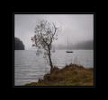 Silsersee #4539 Silsersee #4539