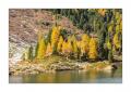 Bergsee Lagh Cavloc #33884