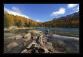 Saoseosee #11354