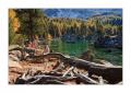 Saoseosee #25137