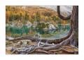 Saoseosee #37481
