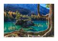Saoseosee #37505 Saoseosee #37505