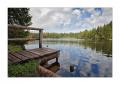 Etang de Gruyere #1212
