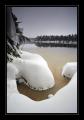 Etang de Gruyere #5872