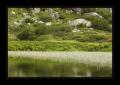 Murgsee #15472