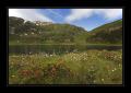 Murgsee #15510