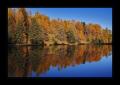 Moosalp Breitmattensee #16560