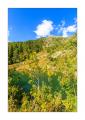 Schwarzsee #5D3 01337