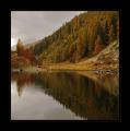 Schwarzsee #16320