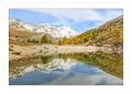Grünsee #5D301614