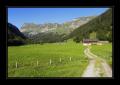 Richisau #15944