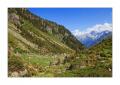 Leitschachtal #23074