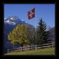 Guarda #2108
