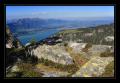 Niederhorn #8846 Niederhorn #8846