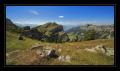 Niederhorn #8867