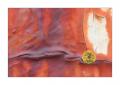 Farben und Formen #35836