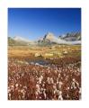 Oberalp #23392