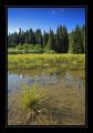 bei Flims #3523