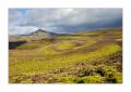 Island Hochland #23732