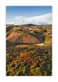 Island Hochland #23842