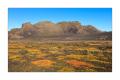 Island Hochland #33564