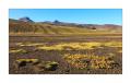 Island Hochland #33571