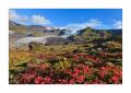 Island Herbstfarben #34371 Island Herbstfarben #34371