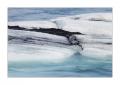 Eisberge #23723
