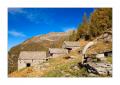Alp Efra #24781