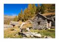 Alp Efra #24786