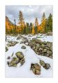 Herbstwald #33930