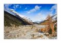 Val Roseg #24980