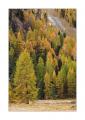 Val Roseg #25061