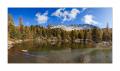 Lagh Scispadus #Pano 25243