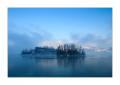 Insel Schwanau #26158