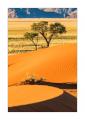 Sandduenen #35094