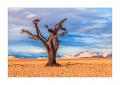 abgestorbener Baum #35023