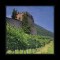 Burg Reben #3853