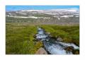 Hornstrandir #L00017 Hornstrandir #L00017